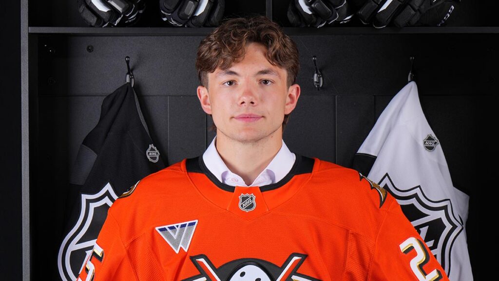 Gulls sign Anaheim first-rounder McQueen to tryout