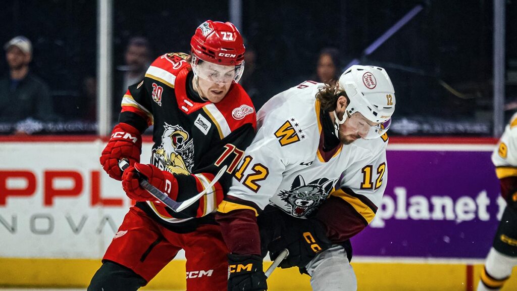 AHL Morning Skate: May 14, 2026