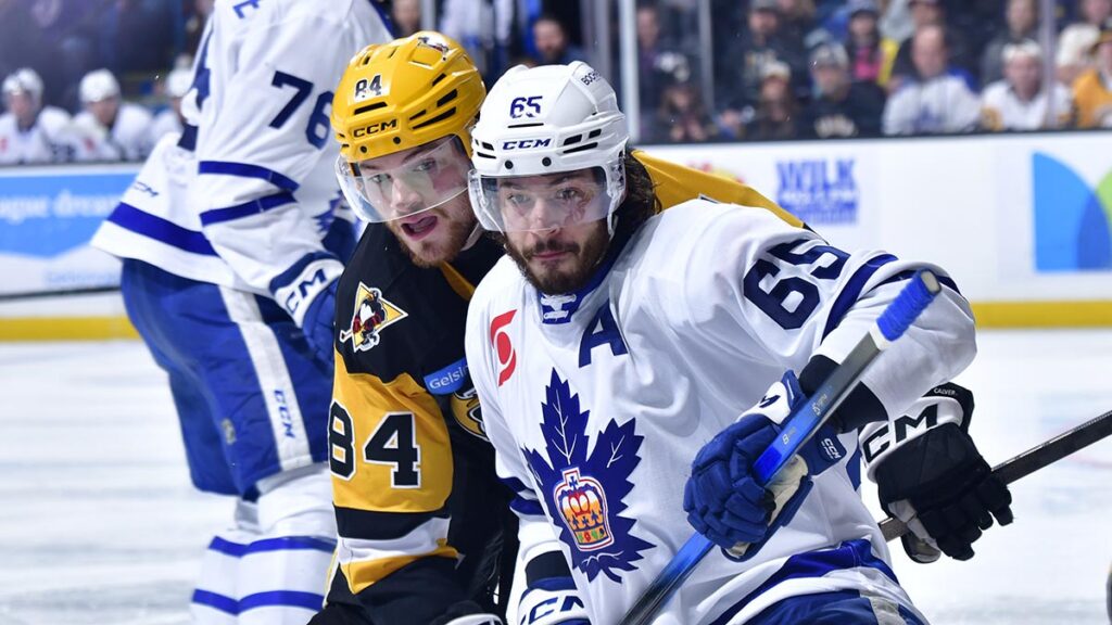 AHL Morning Skate: May 29, 2026