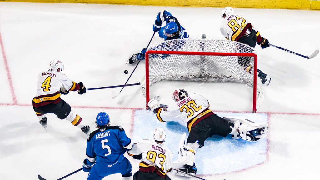 AHL Morning Skate: May 30, 2026