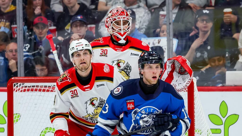 AHL Morning Skate: May 6, 2026