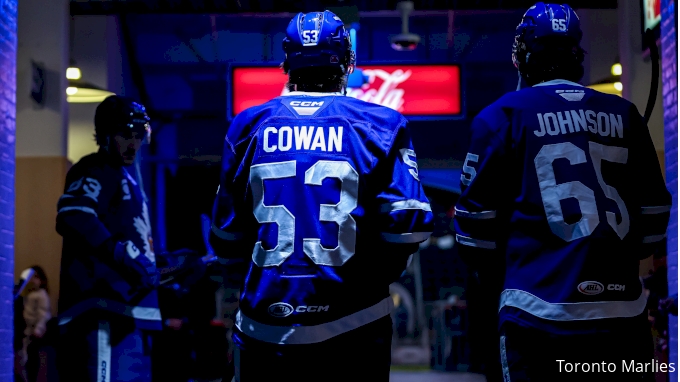 Calder Cup Stock Report