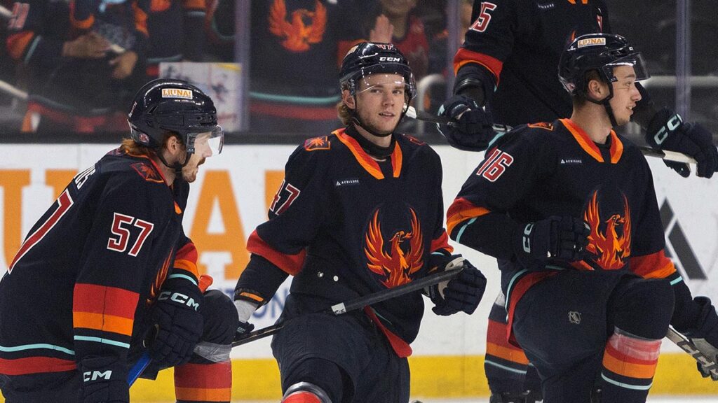 Firebirds looking for quick bounce-back