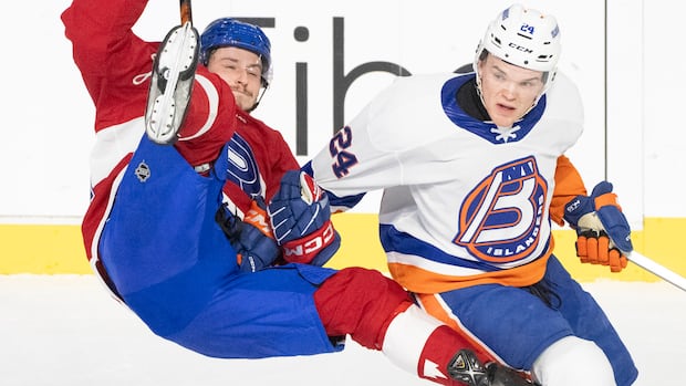 Hamilton hockey fans buzzing with excitement for new AHL team, no matter what it will be called