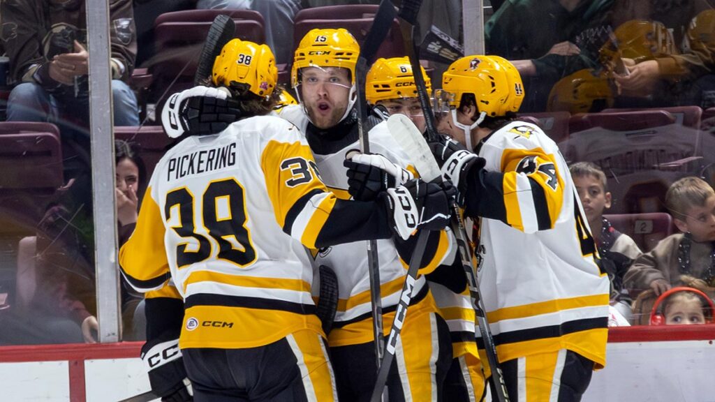 Penguins eliminate Bears, reach first division final since 2016