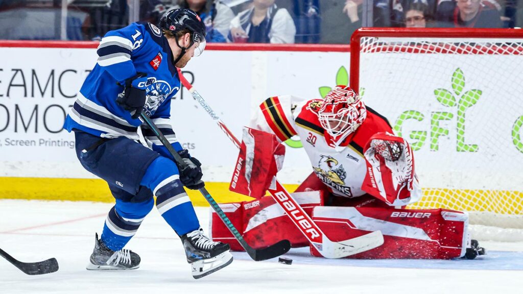 Postava, Griffins blank Moose in Game 2