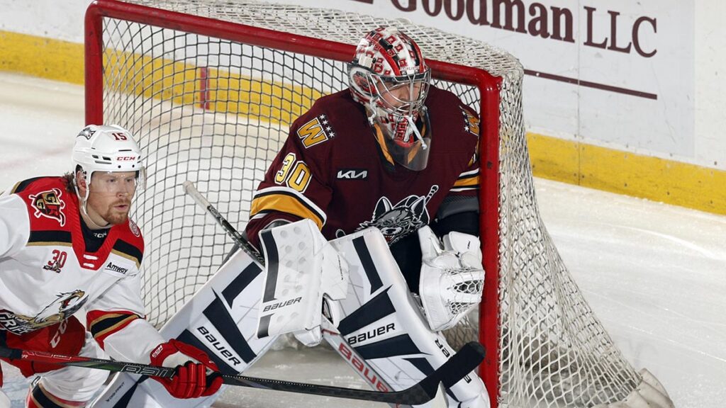 Wolves deliver knockout blow to Griffins