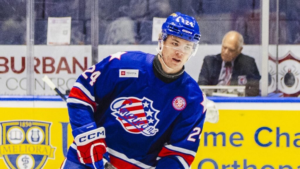 Ducks acquire Wahlberg