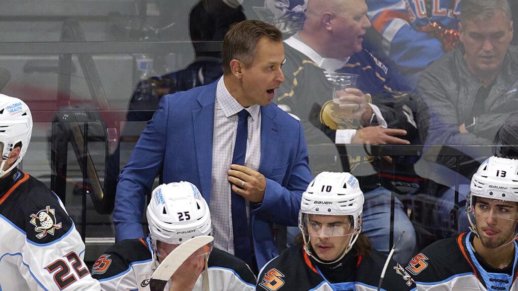 Gulls’ McIlvane joins Boston Bruins