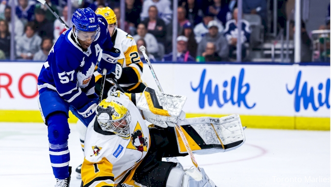 Penguins handling what comes their way