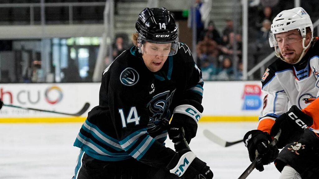 Senators get Halttunen in deal with Sharks