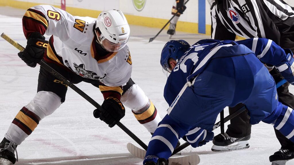 Sportsnet, NHL Network to air Calder Cup Finals