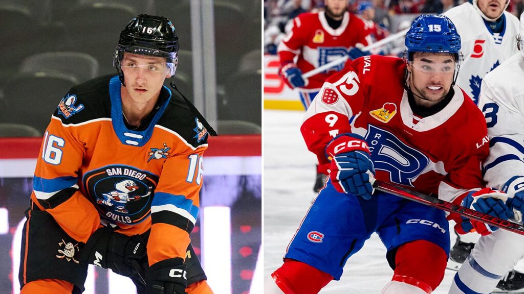 Canadiens, Ducks complete trade