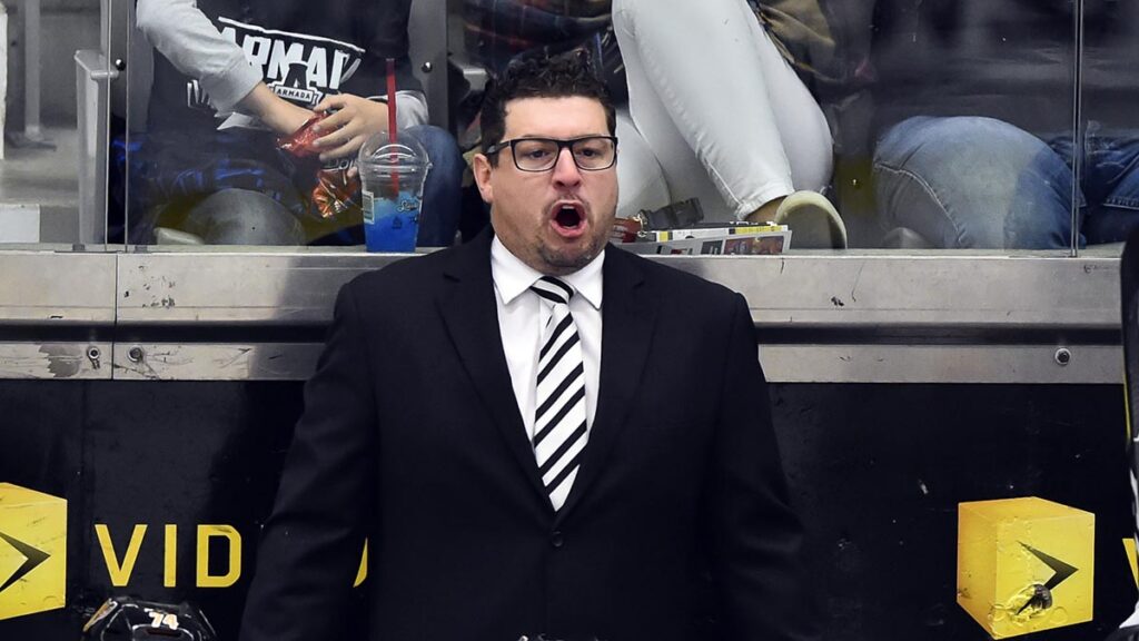 Robitaille returns to Bears as assistant coach