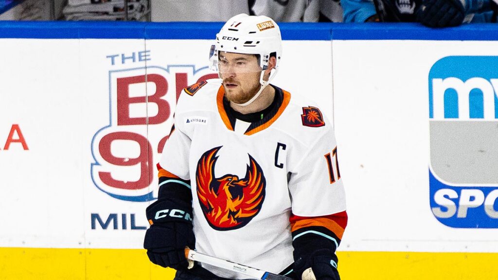 McCormick preparing for new chapter of hockey career