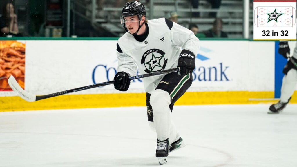 Top prospects for Dallas Stars