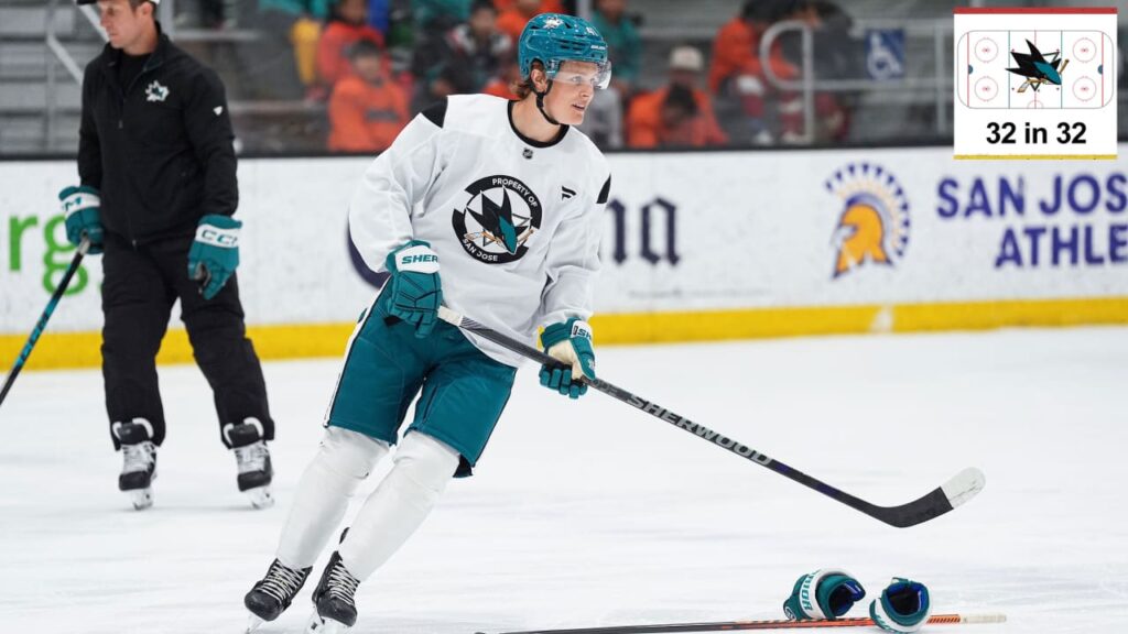 Top prospects for San Jose Sharks